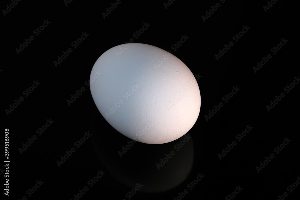 White raw chicken egg White raw chicken egg
