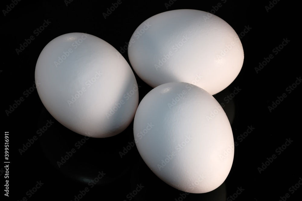 White raw chicken eggs