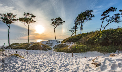 Fototapeta Naklejka Na Ścianę i Meble -  küste