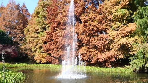 Fountain in the pond in park with colorful autumn trees background, slow motion b roll footage, peaceful  landscape. photo