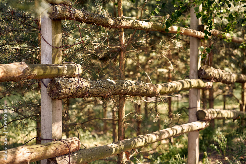 An old fence made of pine poles. Close-up. An old fence made of pine poles. Close-up.