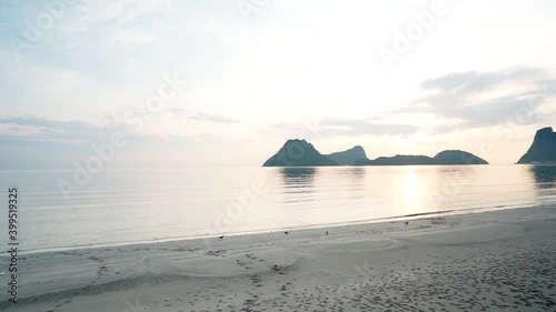 Sun rise on a beach set on the mountain with a bird walking on a beach