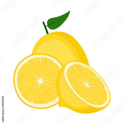 Lemon fruit, half and slice on white background, vector illustration