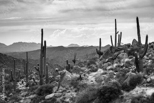 Black and white desert view from Four Peaks Wilderness Area at Tonto National Forest, Arizona.