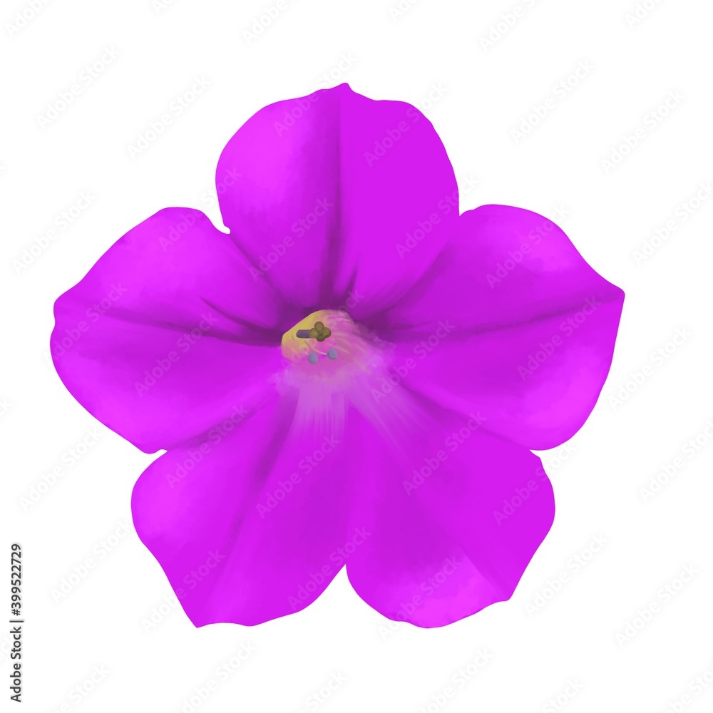 Obraz premium ペチュニア 線画なし