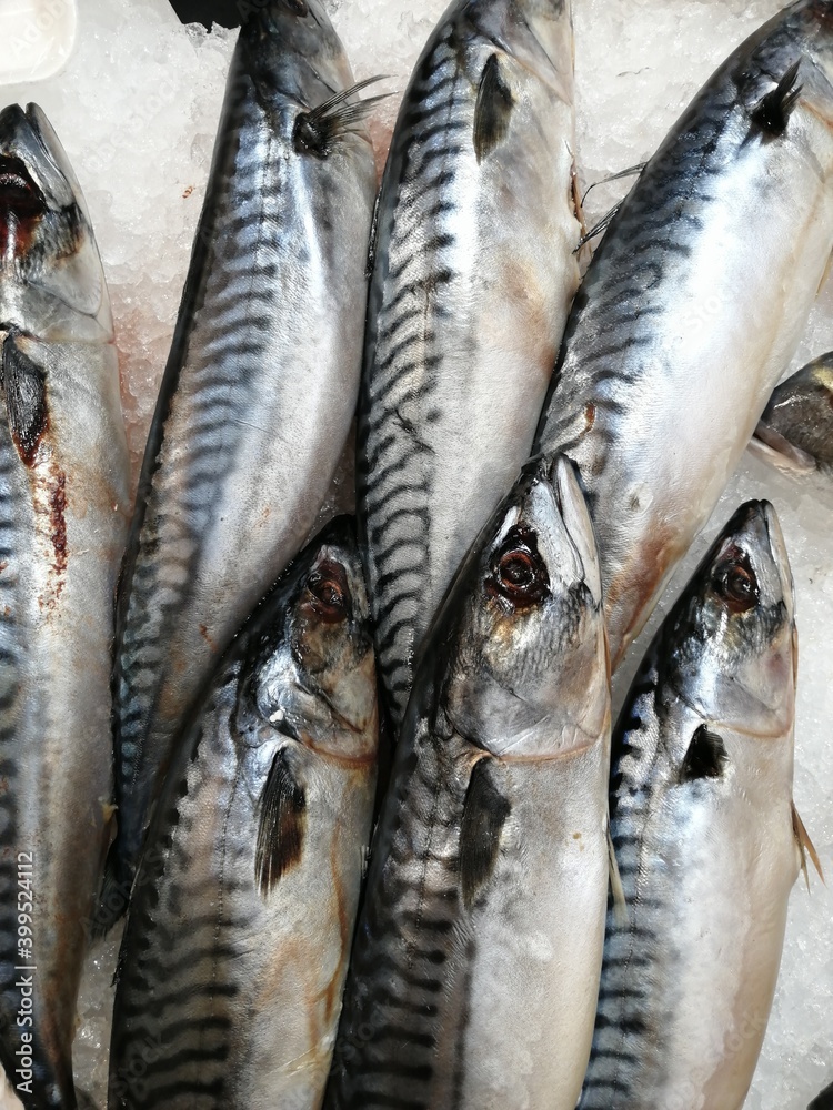 Obraz premium fresh fish on ice