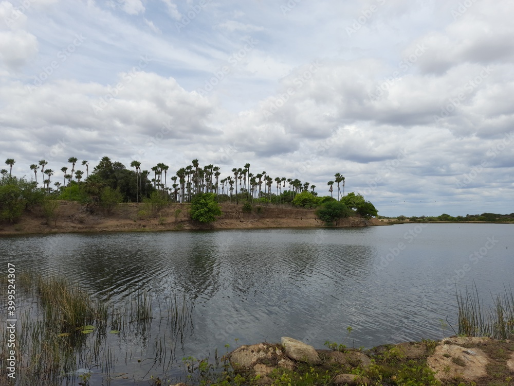 a beautiful lake with plenty of green trees, blue sky and cloudy clouds. photo taken in the city of itaja rio grande do norte brazil.