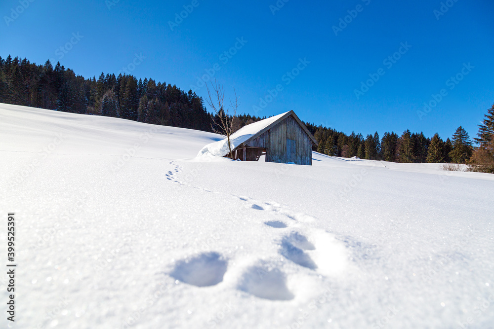 Winte - Allgäu - Schnee - Stadel - Spuren Winte - Allgäu - Schnee - Stadel - Spuren