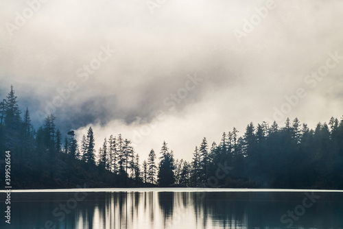 Silhouettes of pointy tree tops on hillside along mountain lake in dense fog. Reflex of pines to calm water of highland lake. Alpine tranquil landscape at early morning. Ghostly atmospheric scenery. © Daniil