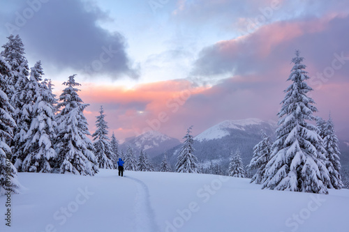 Amazing sunrise. Winter. Natural landscape with beautiful sky. High mountain. Snowy background. Tourist stays on the lawn covered with snow there is a trodden path leading to the forest. © Vitalii_Mamchuk