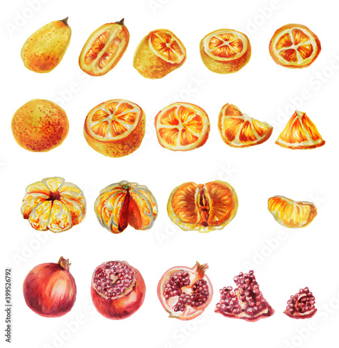 set of delicious oranges, kumquats tangerines, pomegranates cut into slices. Set of slices and whole Christmas fruits isolated on a white.Watercolor Botanical illustration of citrus fruits.Hand-drawn.