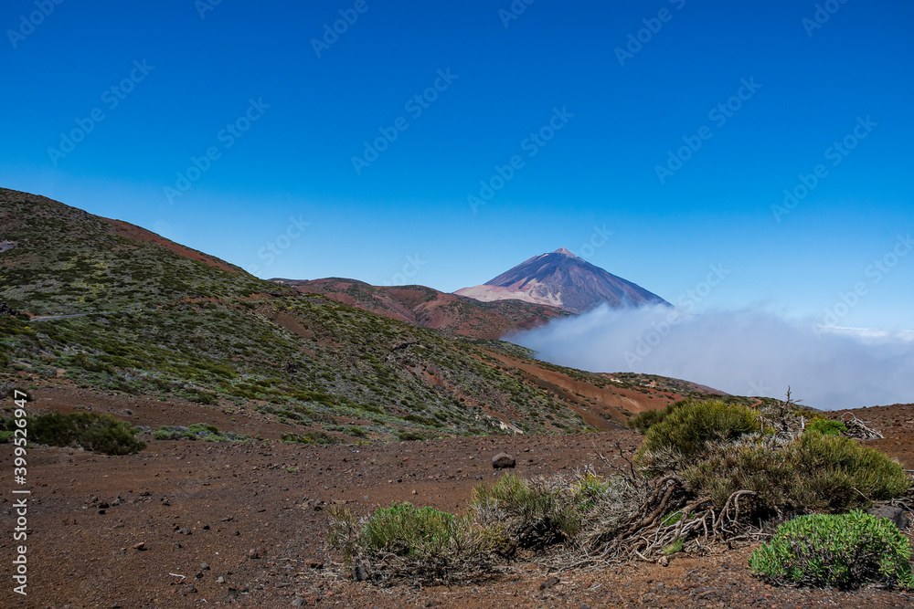 Teide National Park in Tenerife, Canary Islands, Spain with its pine forests and the sea of ​​clouds.