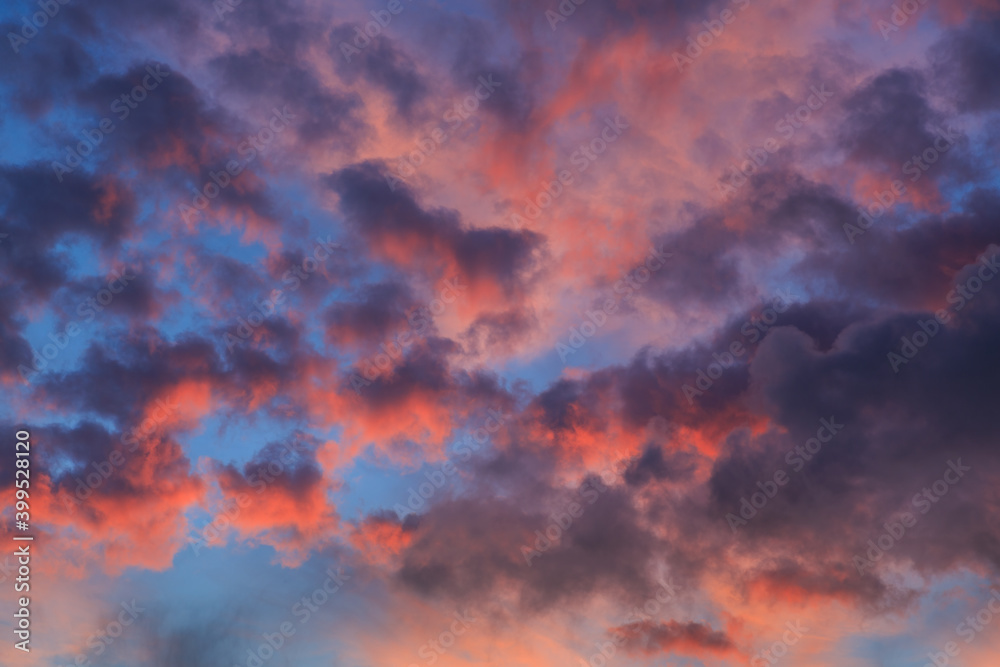 A sky full of small fluffy clouds lit up pink at sunset