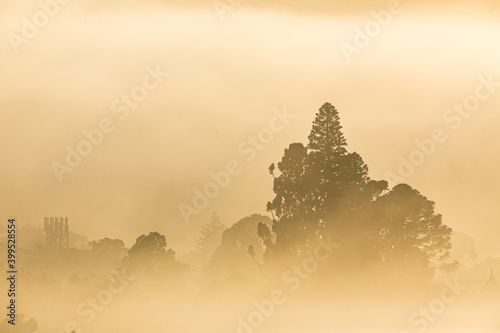 Sunlight through thick brown smoke from bush fires shrouding suburban houses and homes in Sydney, Australia.