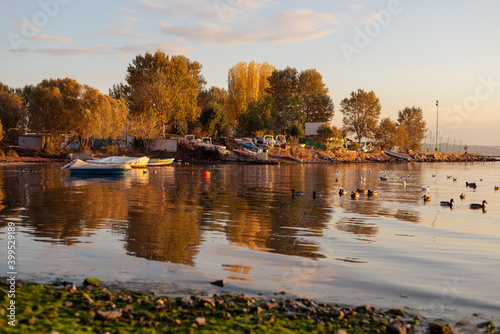 Autumnal landscape with calm sea, sea ducks and beautiful fall trees at background during sunset