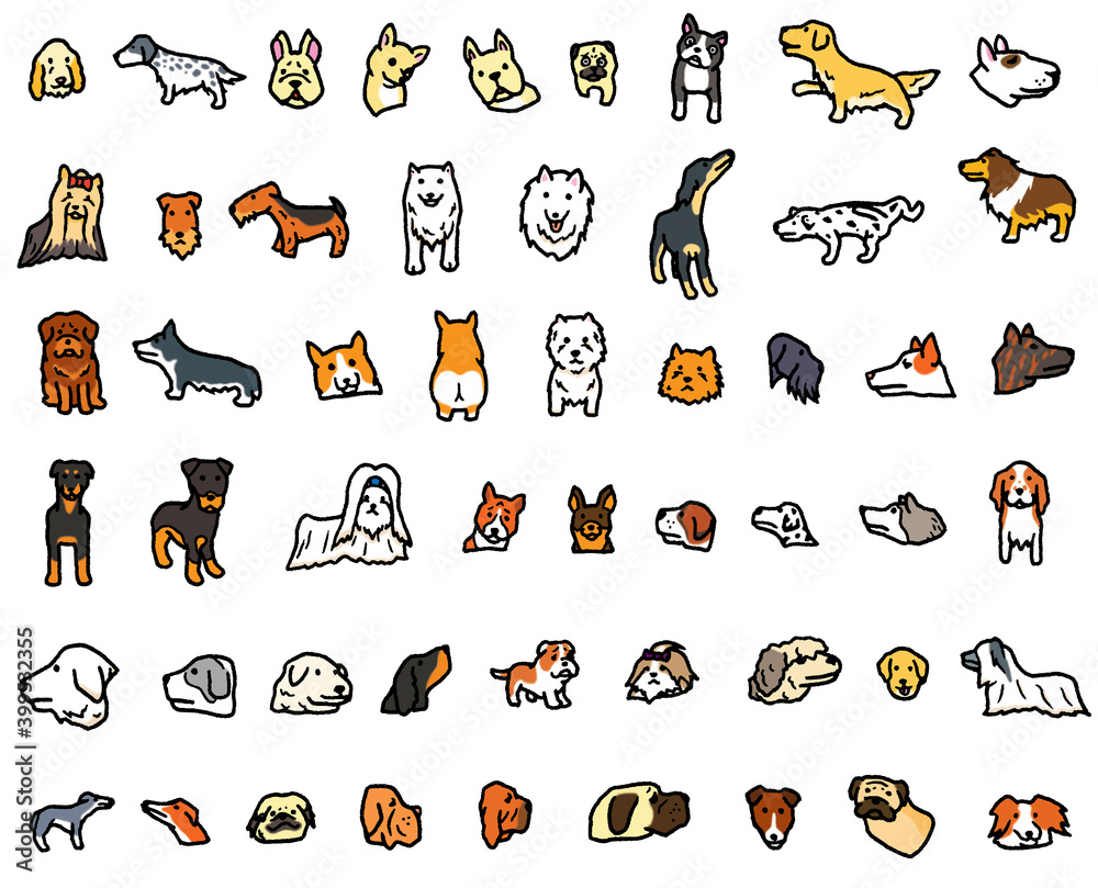 コーギーやスピッツなどの様々な犬種のイラスト Stock 일러스트레이션 Adobe Stock