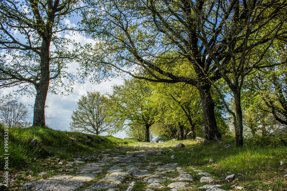 Carsule, Archaeological Park in Italy, the ancient Roman road that runs through central Italy and its ruins Carsule, Archaeological Park in Italy, the ancient Roman road that runs through central Italy and its ruins