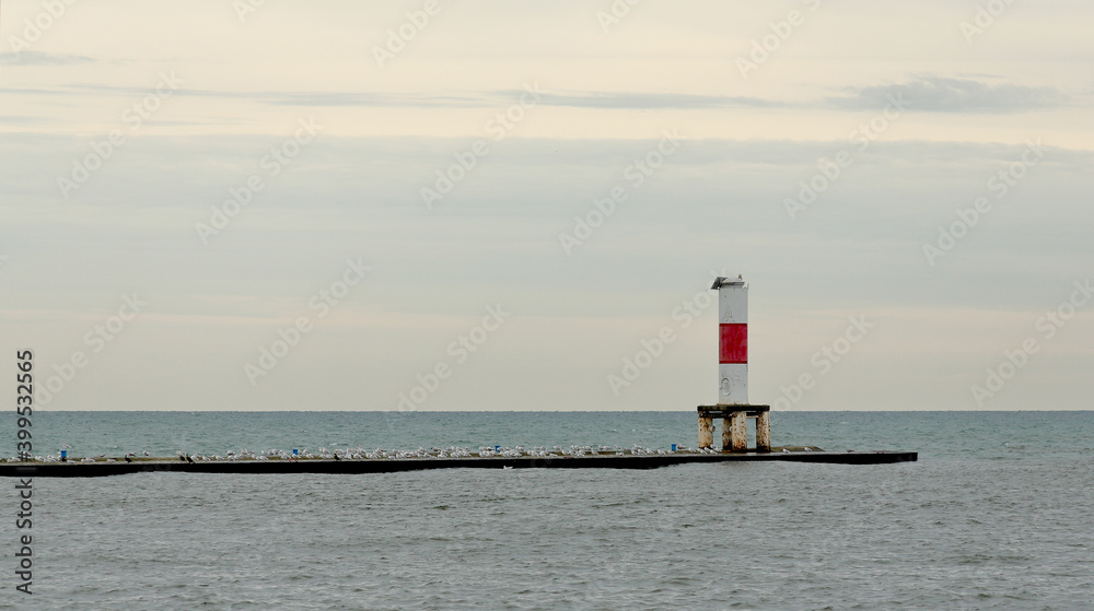 White lighthouse and seagulls