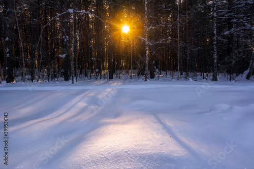 Sunset or sunrise in a winter forest. © esal_1978