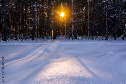 Sunset or sunrise in a winter forest.
