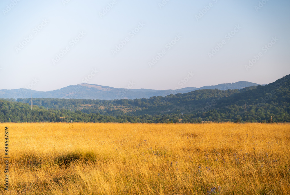 Image of countryside field during the morning with mountains at the background