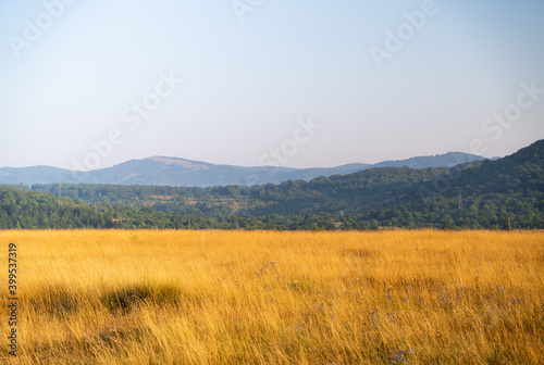 Image of countryside field during the morning with mountains at the background