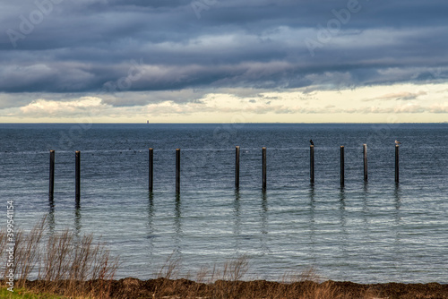 Isolated industrial mooring poles in the Baltic sea with birds on them in Limhamn. Old mooring masts in the Oresund strait with thick clouds convey sadness, uncertainty and melancholy - Malmo, Sweden © Roberto