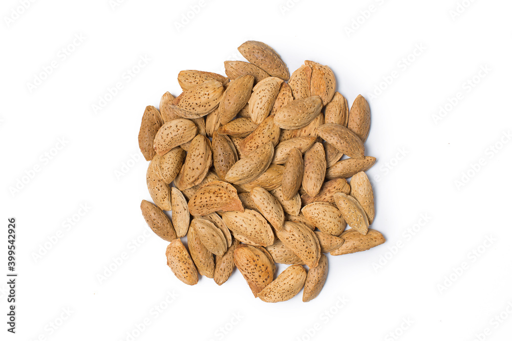Almond nut in studio Almond nut in studio