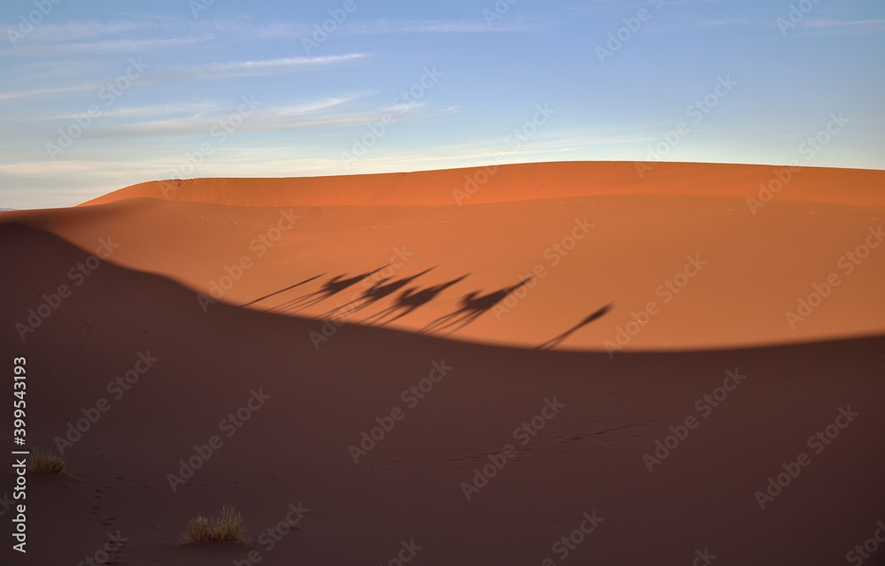 Schatten einer Kamelkarawane in einer Sanddüne der Sahara