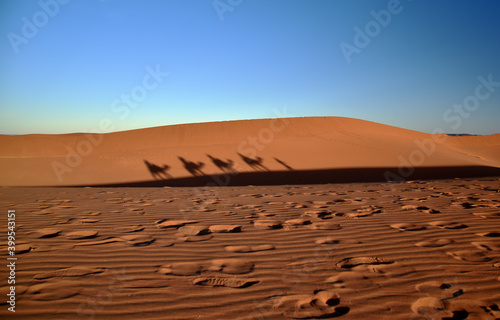 Fußspuren im Sand der Wüste und im Schatten einer Kamelkarawane