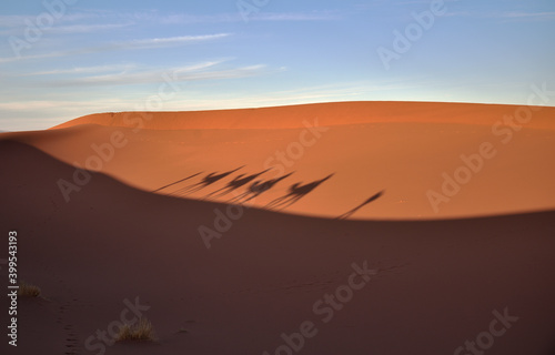 Schatten einer Kamelkarawane in einer Sanddüne der Sahara