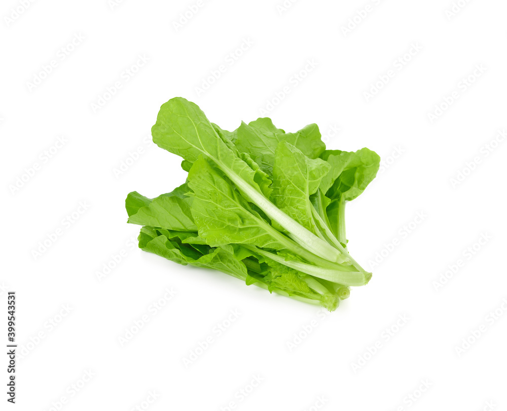 lettuce leaves isolated on white background lettuce leaves isolated on white background