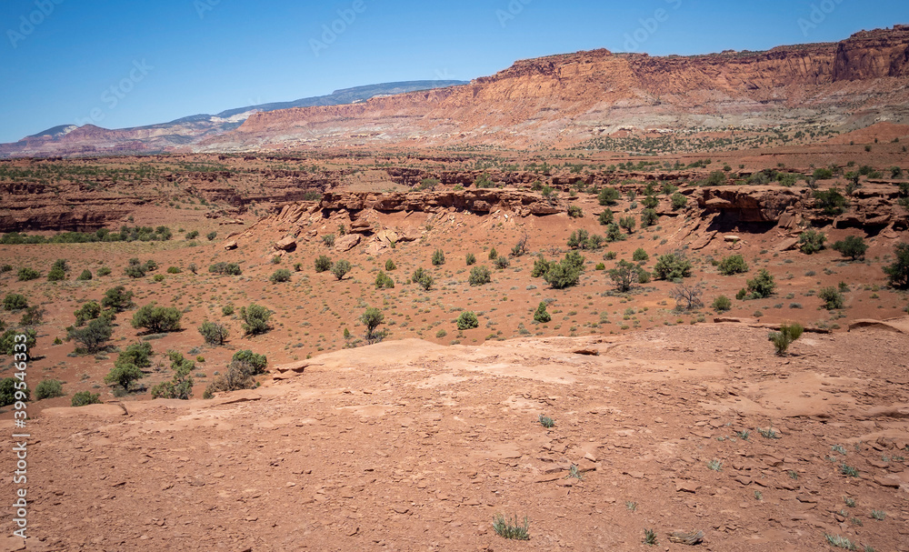 Fototapeta premium Amazing sandstone monoliths in a barren desert prairie on a blue partly cloudy summer day at Capitol Reef National Park in Torrey Utah