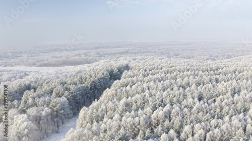 Snowy ice road in the middle of a forest covered with snow. Winter forest nature snow covered winter trees. High quality.