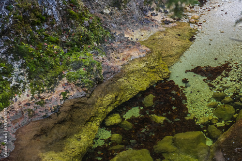 brown leaves and rocks in clear water from a mountain torrent