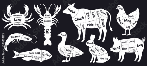 Butcher guide. Meat cuts scheme, beef, chicken, fish and shrimp silhouette, meat cutting lines. Butcher shop meat cuts scheme vector illustration set. Blackboard butchery silhouette, seafood and meat