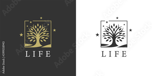 Tree of life logo. Nature symbol. Oak icon. Environment sign. Vector illustration.