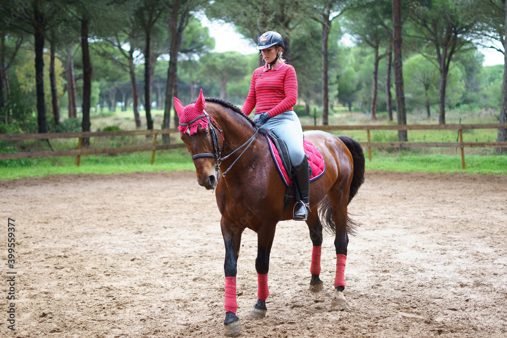 Chica hipica montando a caballo ecuestre en club de monta caballo andaluz cadiz doma clasica vaquera Chica hipica montando a caballo ecuestre en club de monta caballo andaluz cadiz doma clasica vaquera