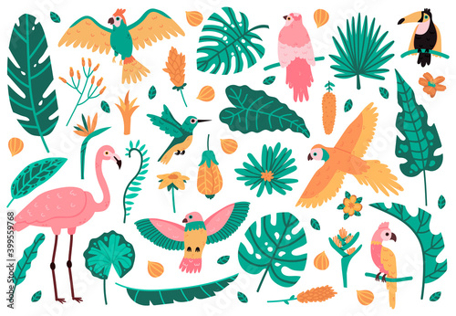 Exotic leaves and birds. Tropical leaves, flowers and fauna birds, parrot, pink flamingo and toucan. Jungle exotic elements vector illustrations. Fauna and bird, tropical and flamingo
