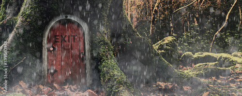 Fairytale fantasy house in tree trunk in forest. exit from the matrix
 photo