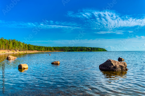 the shore of the gulf of finland of the baltic sea on a sunny summer day. Green pines, blue sky, huge boulders in the water and on the shore