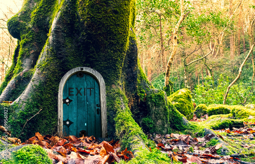 Fairytale fantasy house in tree trunk in forest. exit from the matrix
