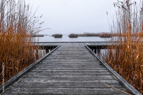 jetty with old wood and reed during fog