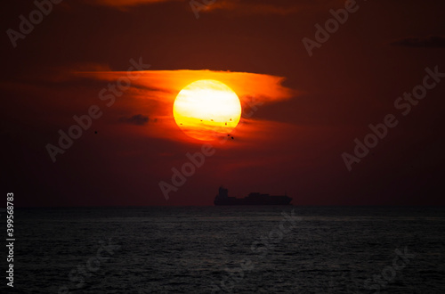 A beautiful Sun during sunset  with seagulls flying and cargo ship silhouette  Vila do Conde  Portugal.