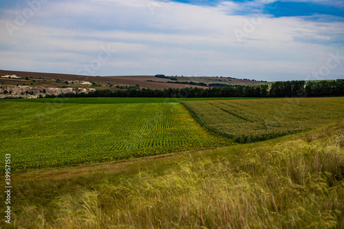 Moldova, summer 2020. Sunflower and corn fields