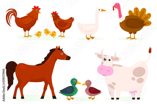 Fototapeta Naklejka Na Ścianę i Meble -  Set of cartoon farm animals characters. Cute cartoon animals collection: sheep, cow, donkey, horse, pig, duck, goose, chicken, rooster. Vector illustration
