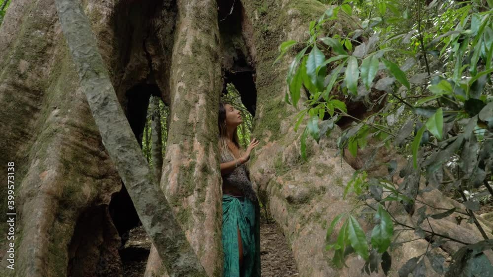 Girl Inside Hollow Of Tree Feeling The Texture Of Buttress Root - Wishing Tree Track At Lamington National Park - Queensland, Australia. - handheld shot Girl Inside Hollow Of Tree Feeling The Texture Of Buttress Root - Wishing Tree Track At Lamington National Park - Queensland, Australia. - handheld shot