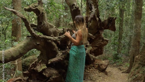 Sexy Woman Standing Next To Exposed Roots Of Fallen Tree In Lamington National Park - Gold Coast Hinterland - QLD, Australia. - handheld photo