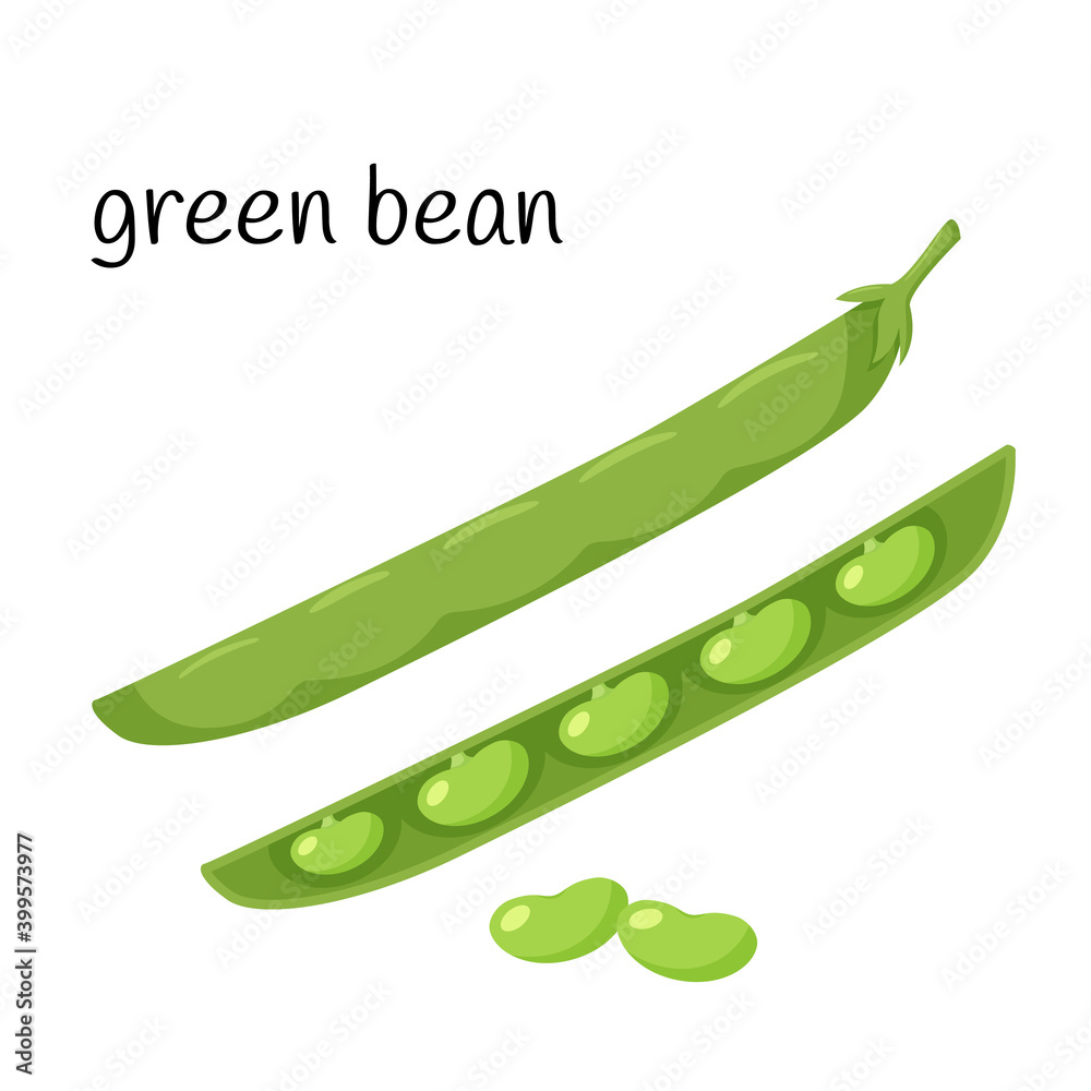 Green beans in a pod. Legume plant in a closed and open pod. Ingredient