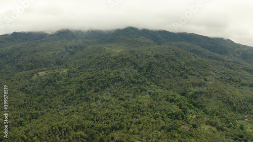 Mountains with rainforest, trees in cloudy weather, aerial drone. Camiguin, Philippines. Mountain landscape on tropical island with mountain peaks covered with forest.